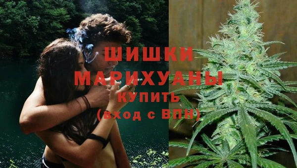 МДПВ Алзамай