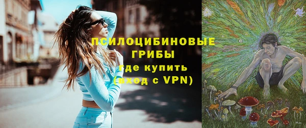 МДПВ Алзамай